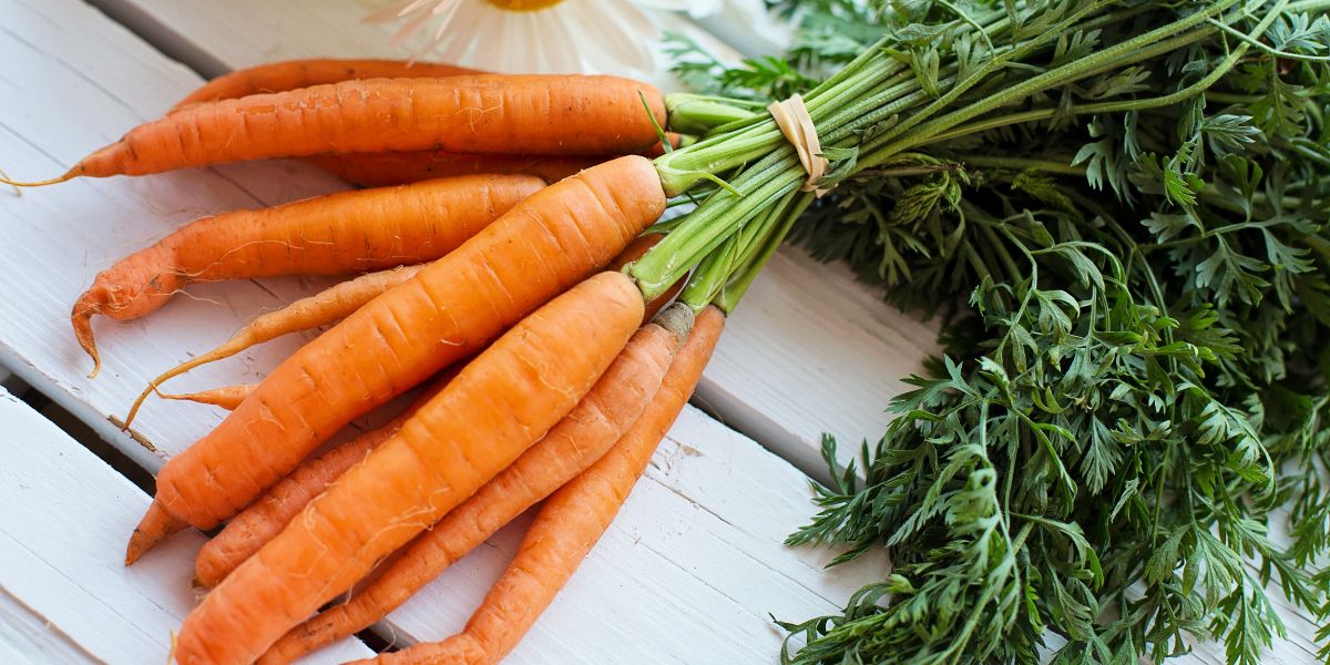 Bunch of carrots with leaves on white wood