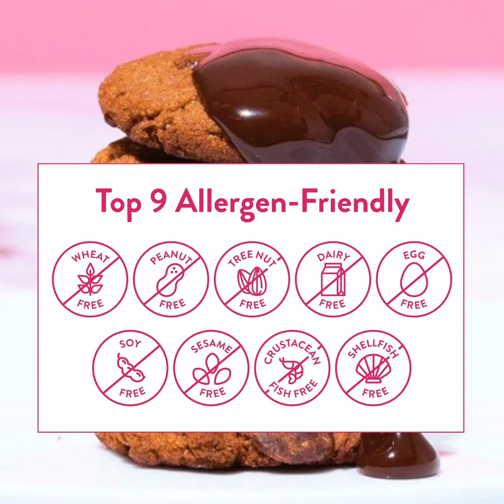Bake Me Healthy Dark Chocolate Chip Cookies Snack Pack - Top 9 Allergen-Friendly