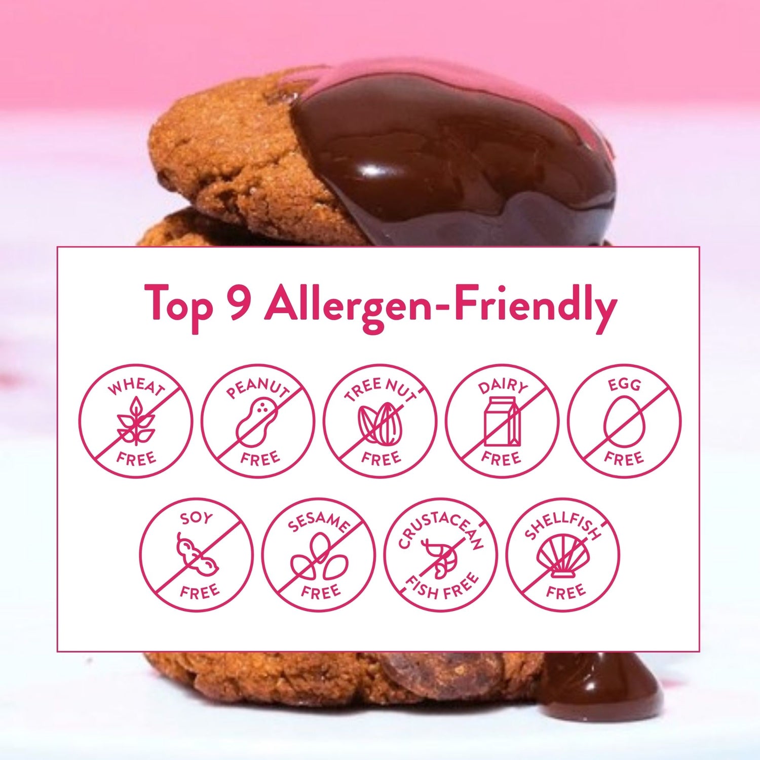 Bake Me Healthy Dark Chocolate Chip Cookies Snack Pack - Top 9 Allergen-Friendly