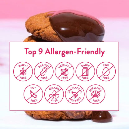 Bake Me Healthy Dark Chocolate Chip Cookies Snack Pack - Top 9 Allergen-Friendly