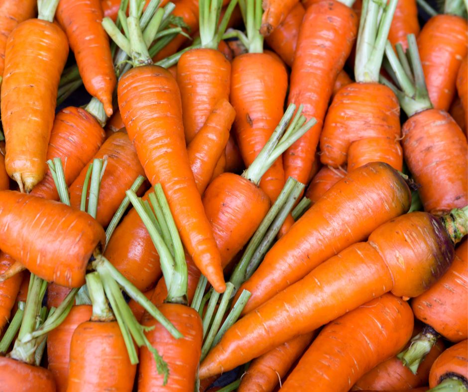 Bunch of carrots